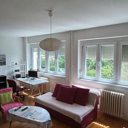 Viva Apartment 斯科普里 外观 照片