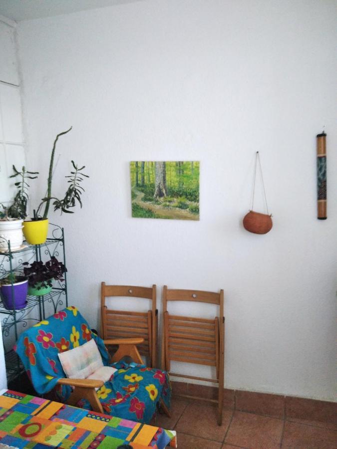 Viva Apartment 斯科普里 外观 照片